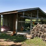 The shack in the lychee orchard where Tan Khantiko stayed.