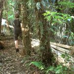 Lads on legs lumping lumber up to the hermitage. Deck improvements.