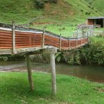Tudong: a superb bit of Kiwi ingenuity to keep the sheep dry.