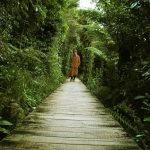 Winter walking meditation.