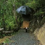 Walking meditation in the rainy season.