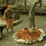 The birds love to dig up the soft soil at the base of the tree. The bhikkhu-coloured covering looks delightful and will hopefully keep that inside the rocks - inside the rocks.