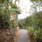 Ajahn Kusalo looking down a meditation path gladly.