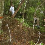 Sebastian Brian Viphavadee Vahn and Marcel setting out access tracks in the memorial garden (white arrows).