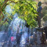 Radiant solar blessings shower down on devotion.