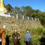 The trees obscuring the stupa have been trimmed. We will try and keep them better hedged.
