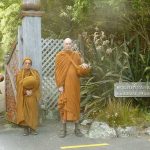 Monks setting out on alms round down Stokes Valley. A nice walk for Ajahn Dhammasiha on his last day at Bodhinyanarama.