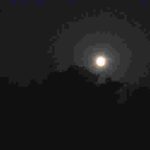 The full moon of Magha rises in the East.