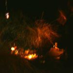 The base of the Wishing Tree glowing with illumination and gifts.