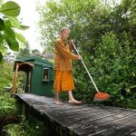Venerable Thitavijjo sweeping his walking meditation path.