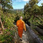 Most of the walking tracks at Bodhinyanarama are either up or down the hill. Grand views usually come in both directions.