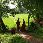 We have finished our meal and are drying our robes and generally enjoying the verdant scene.