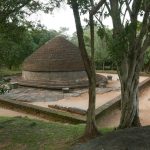 We stayed a couple of nights at Buduruwayaya temple; an ancient archaeological site.