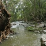 The river next to the temple where we bathed.
