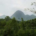 Forests and mountains.