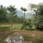 The outskirts of a small village.