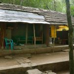 Madumana Kuti when Bhante Guttasila has lived for several years. He was not there so we had the place to ourselves. Very nice.
