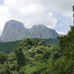 Forests and mountains.