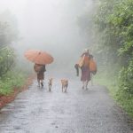 Dribble and mist and we find we have four dogs along. Where is this all going?