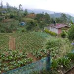 A small village along the way.