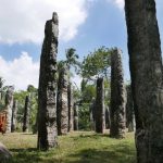 Roof pillars - for something nobody is quite sure what.