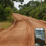 The road to Situlpahuwa temple. This is elephant country - can you spot one in the bushes?