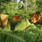 My camping idyll just back from the lagoon. I didn't get to hear about the crocodiles until the last day!