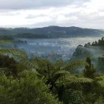 The early morning view from the top of the stupa down Stokes Valley.