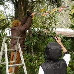 Venerable Kusalacitto hanging Kathina flags - with some supervision from Aunty Suan.