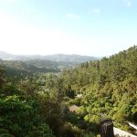 Looking down Stokes Valley from Ajahn Kusalos kuti.