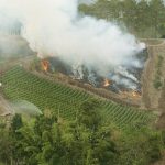 A wee burn-off to prepare for the next crop.