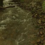 The valley stream after a heavy rain.