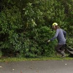 Paul gives the grass a trim.