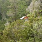 Ajahn Kusalos kuti nestled in the forest.