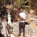 The evolving rock wall at Ajahn Kusalos kuti gets some new plants.