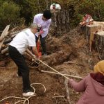 Vipha Nuk and Ayya Abhisamma applying persuasive forces to a resistant tree root.