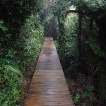 The hermitage meditation walking path.
