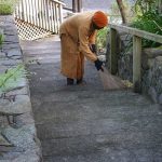 The stairs down to the kitchen being carefully swept.