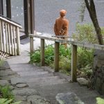 Monk on retreat - quietly waiting for breakfast.