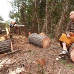 Ajahn Thitasippo enjoying the newly opened space at the monks kuti site.