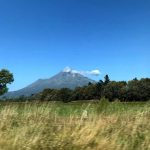 Tudong: Heading north to New Plymouth.