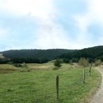 Tudong: East of Levin; into the forest.