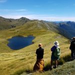 Sth. Is.: At about 1600m the views are stunning.