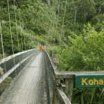 Sth. Is.: Monks crossing to the other side.