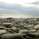 Sth. Is.: The Tasman Sea.