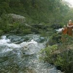 The river which forms the back boundary of Bodhisaddha monastery. The monks tour.