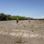 The Ngaruroro River is quite dry this time of year so walking is very easy.