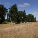 Fields and trees.