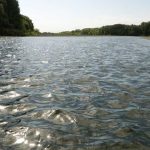 The river from a bathers perspective.