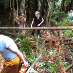 Several pongas were used to build a retaining wall on a particularly steep part of the track.